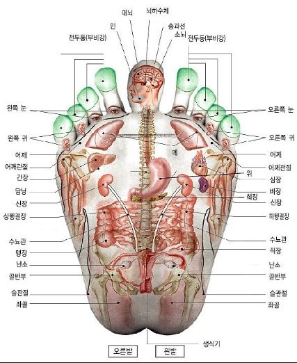 발혈마사지 120분