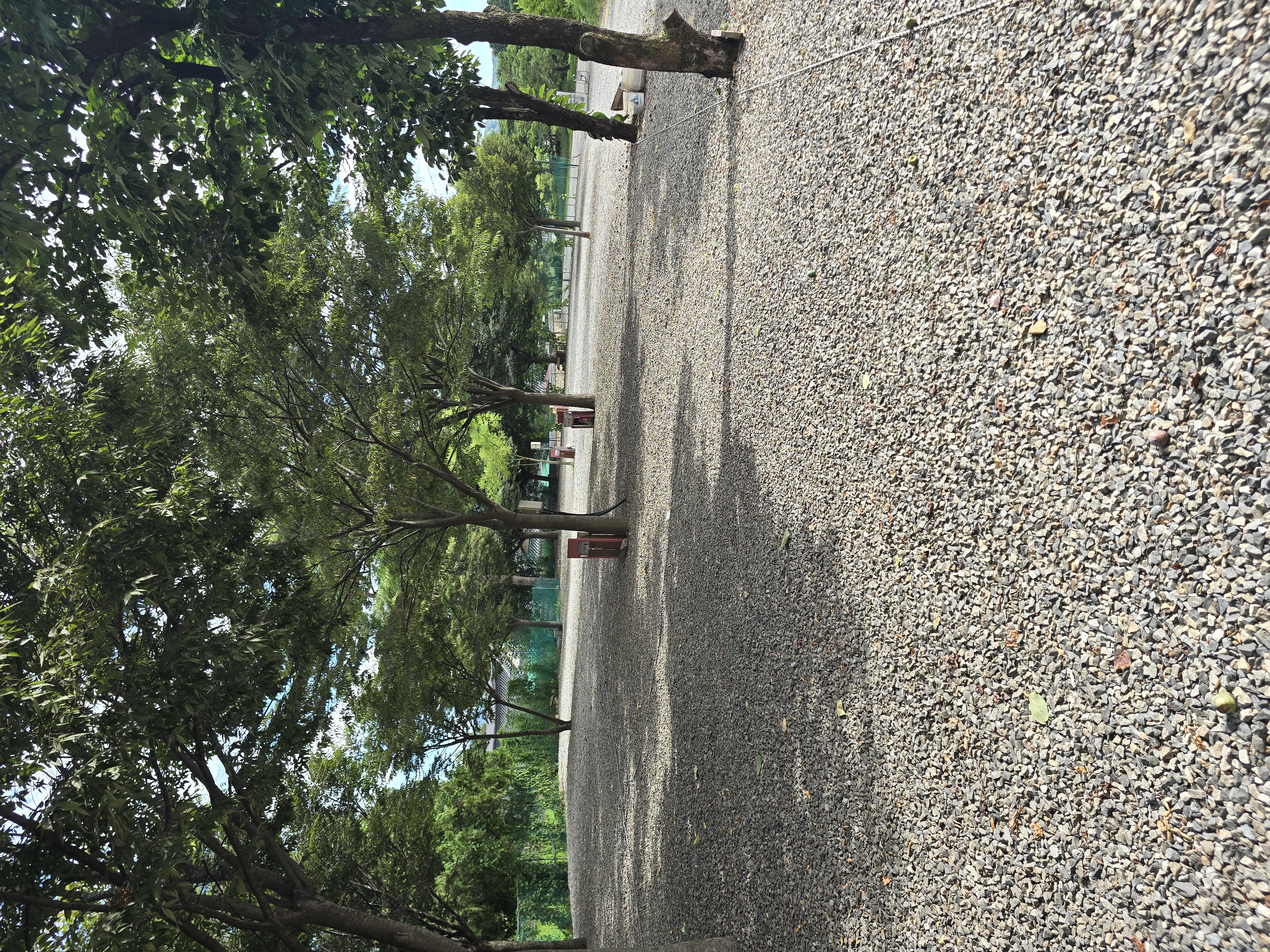 캠핑장  펜션 힐링숙박