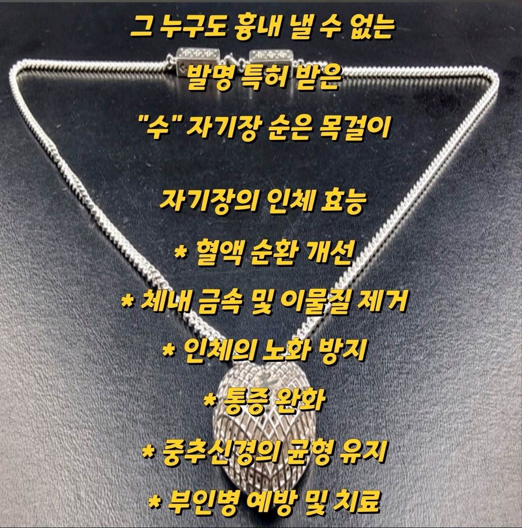 특허자기장 목걸이