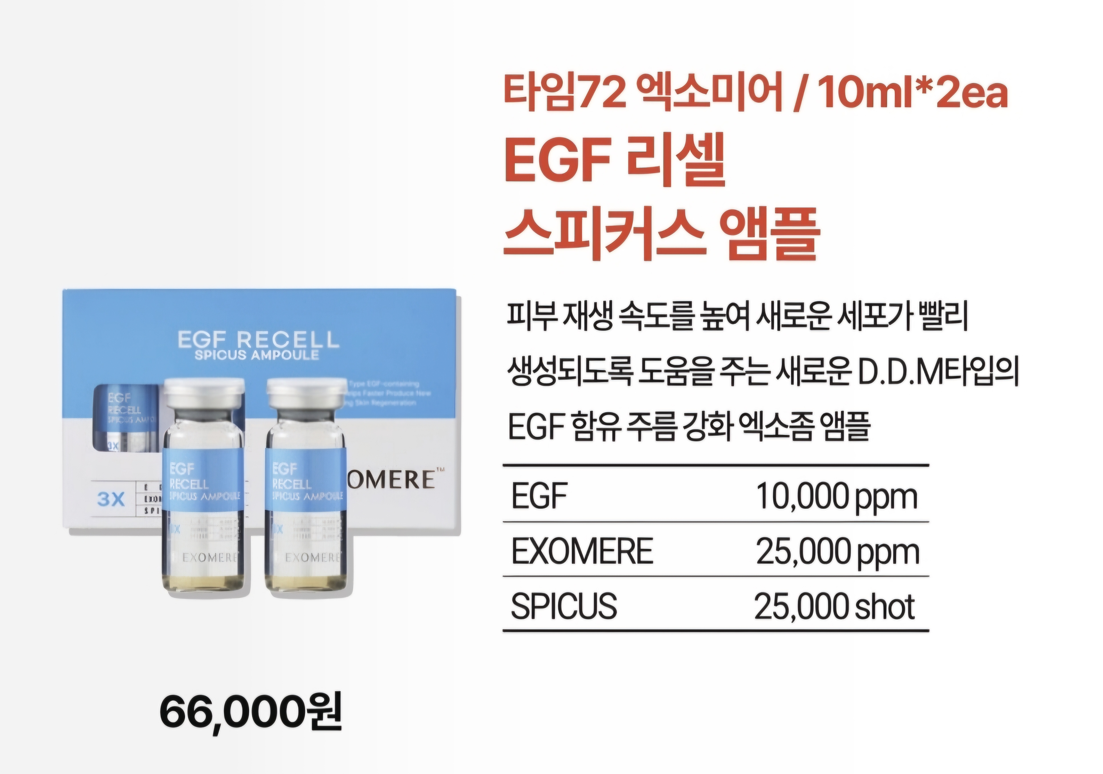 EGF리셀 스피커스 앰플